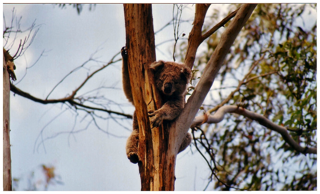 03 - Victoria (12).jpg